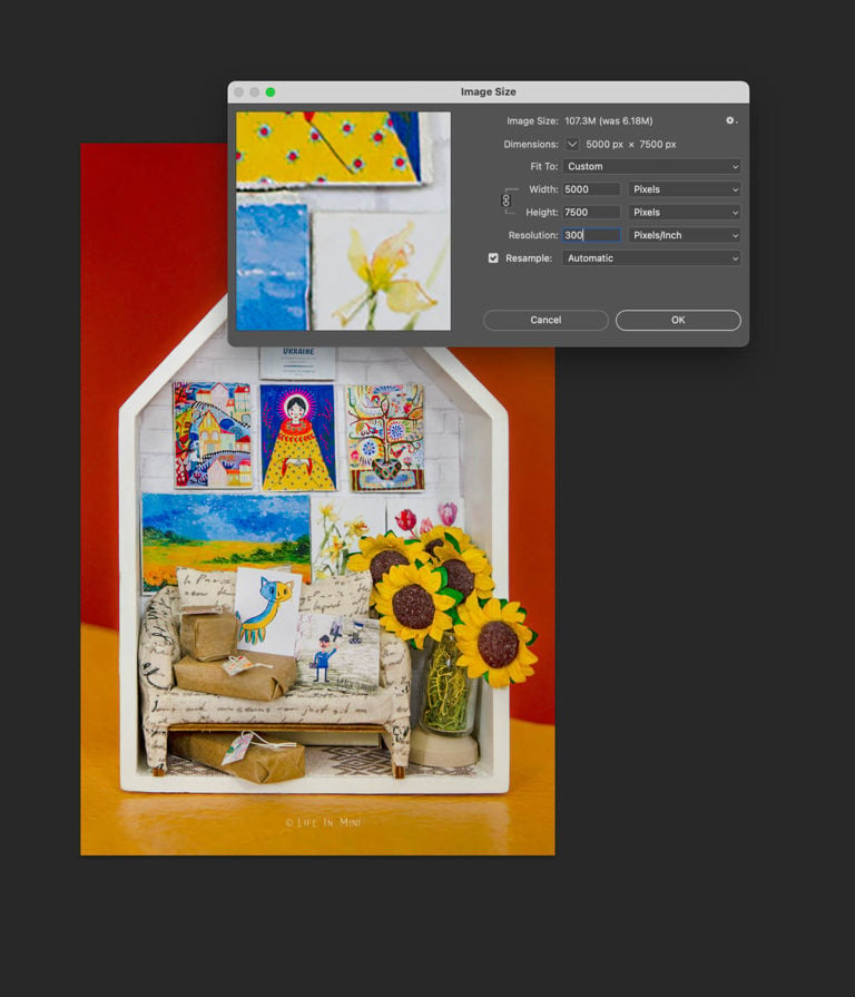 Screenshot of editing an image in photoshop