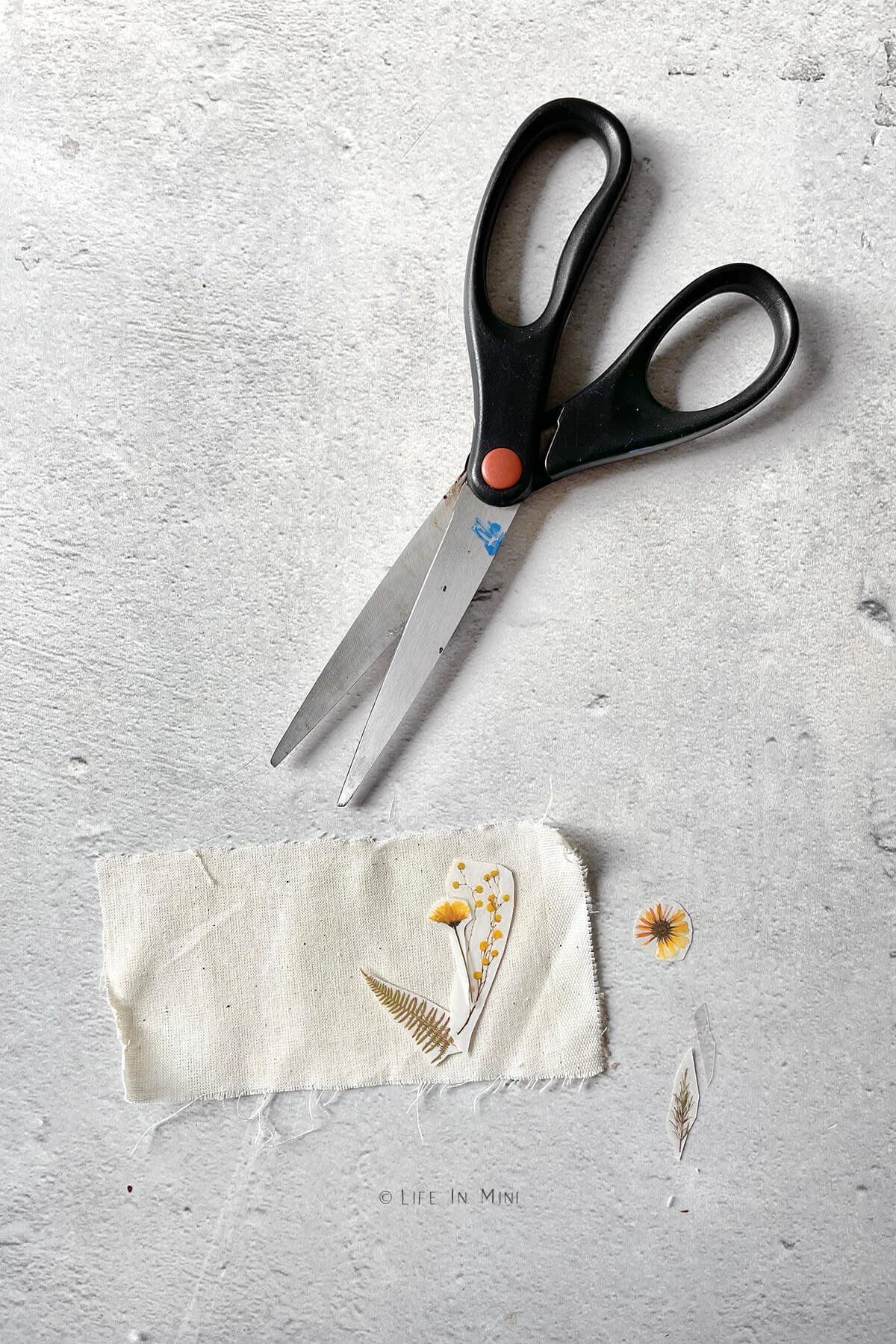 Scissors next to a rectangular piece of fabric with rub off transfers cut out on it