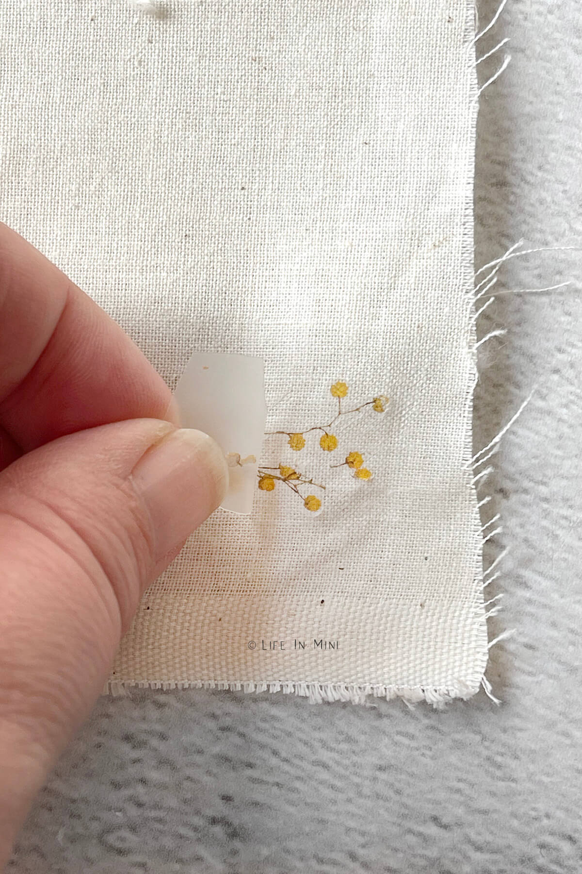 Peeling off the backing from a flower rub off transfer