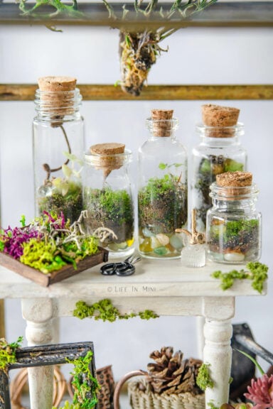 Closeup of several mini terrariums and mini garden accessories on a table