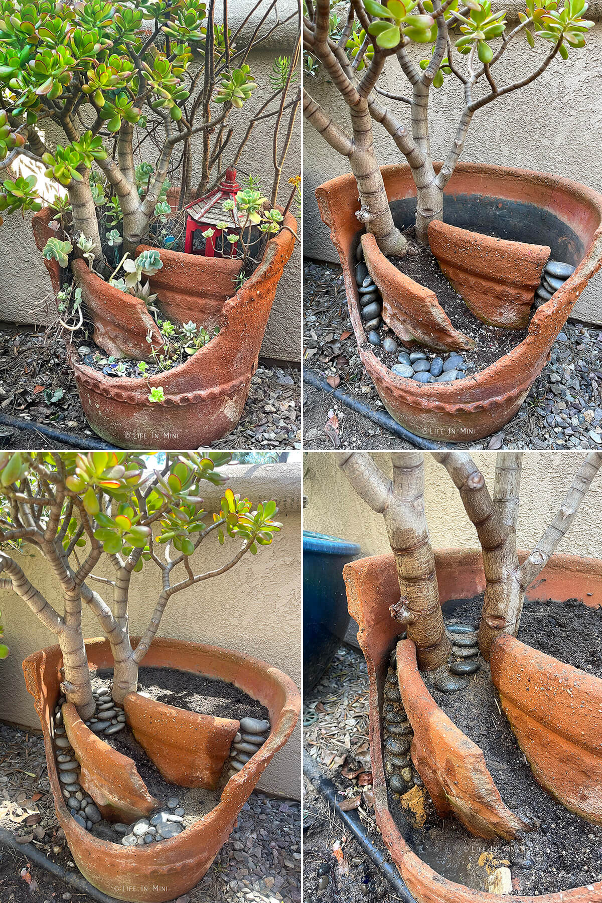 Collage of four images showing how to make a fairy garden using a broken pot.