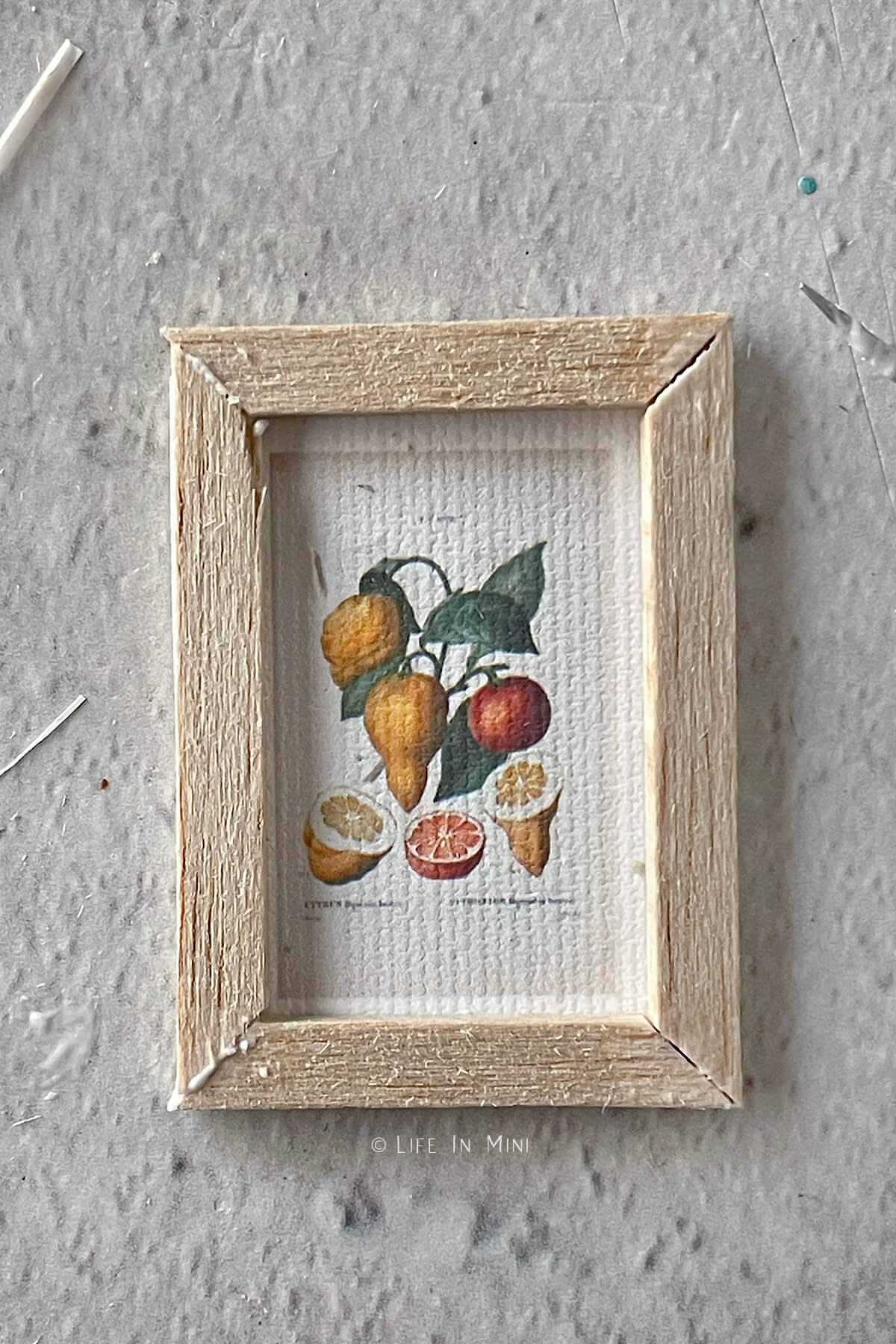Closeup of a miniature citrus print with popsicle stick frame glued around it