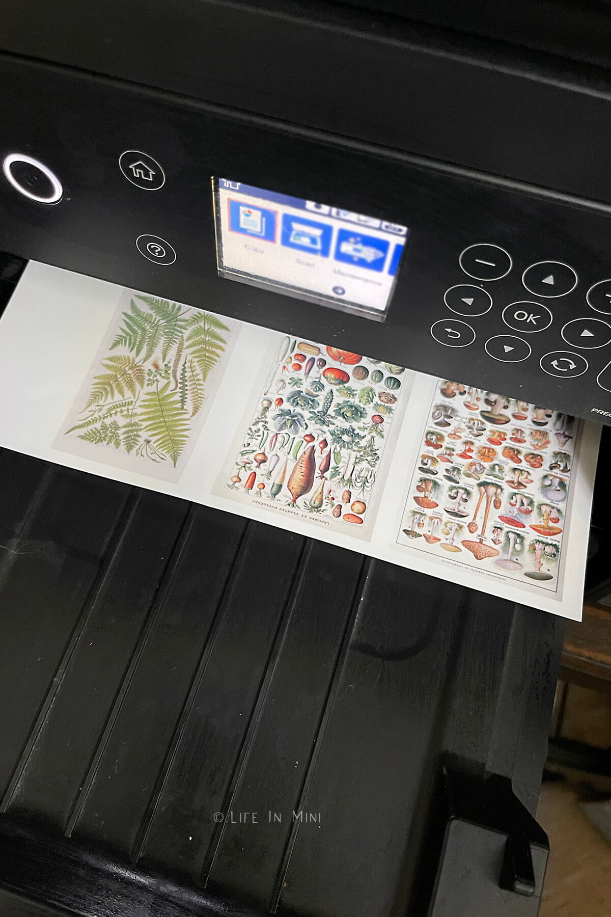 Miniature artwork being printed on a printer