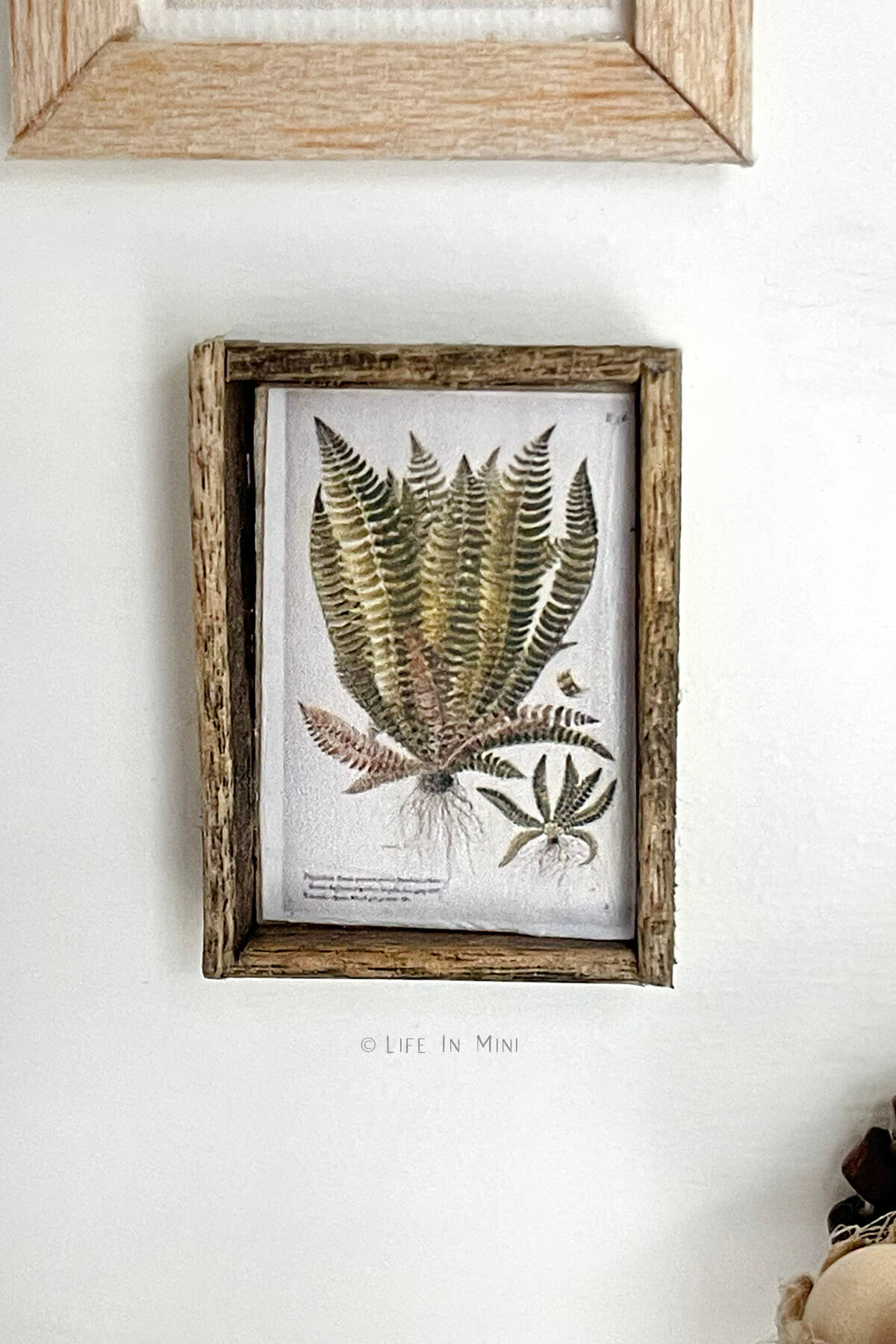 Closeup of a mini botanical print framed in dark wood