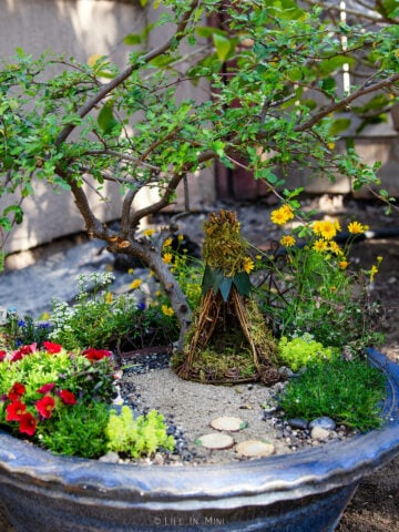 A woodsy fairy garden with a grape vine teepee, iron bench, small tree, moss, a mini tree and mini flowers