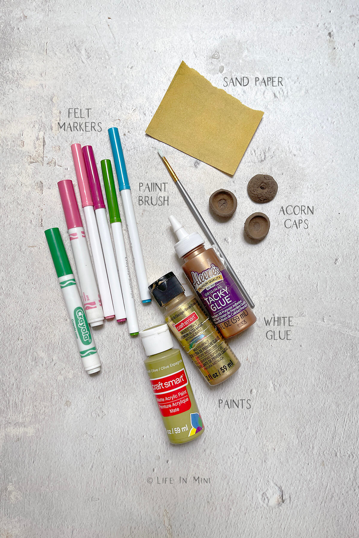 Supplies labeled and needed to make miniature acorn bowls.