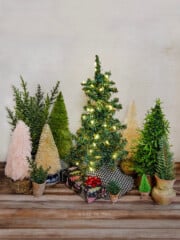 Several different kinds of dollhouse Christmas trees.